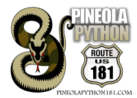 pineolapython181-logo-2-network.png