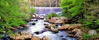 banner-elk-nc-waterfall-mill-pond.jpg